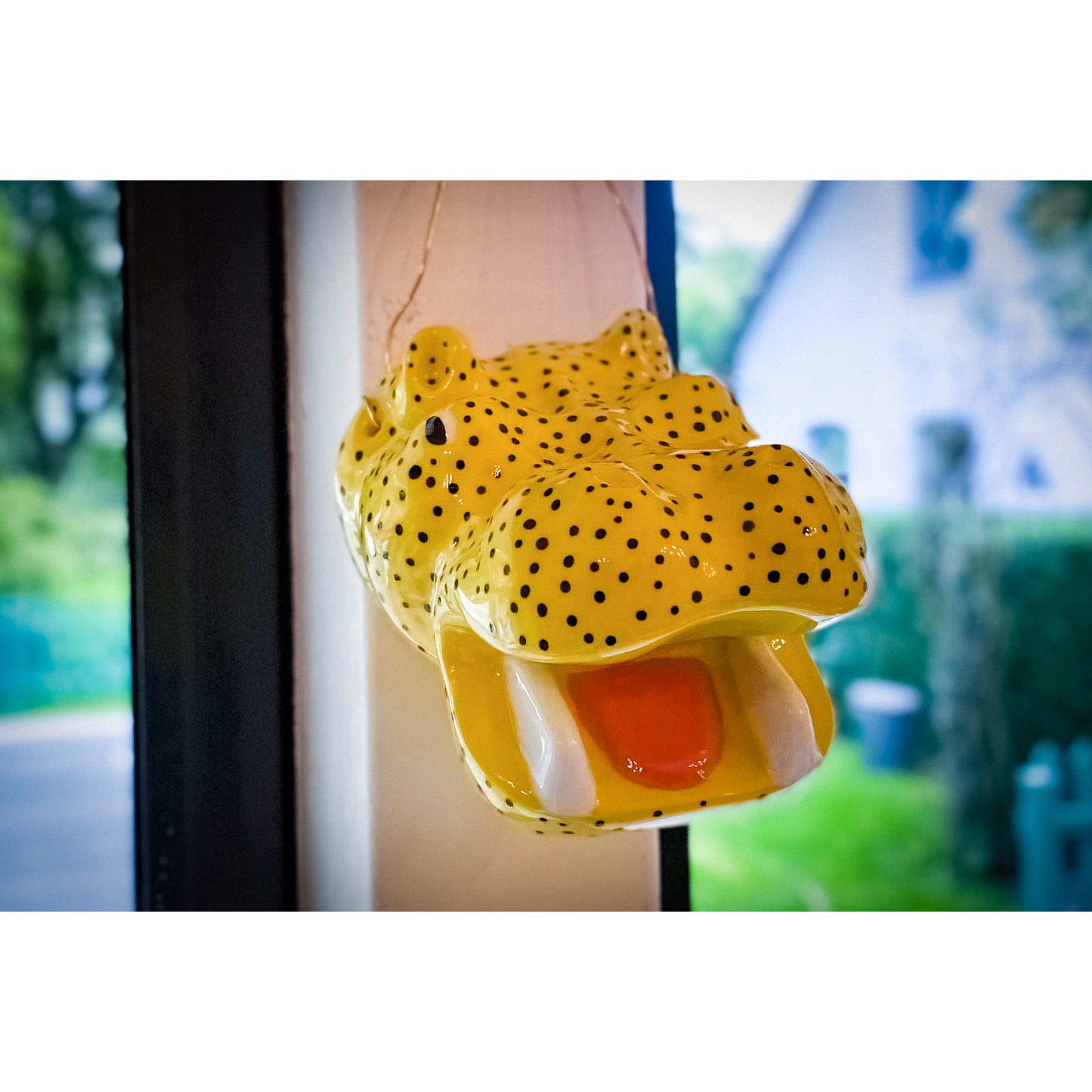 The gorgeous wall hippo