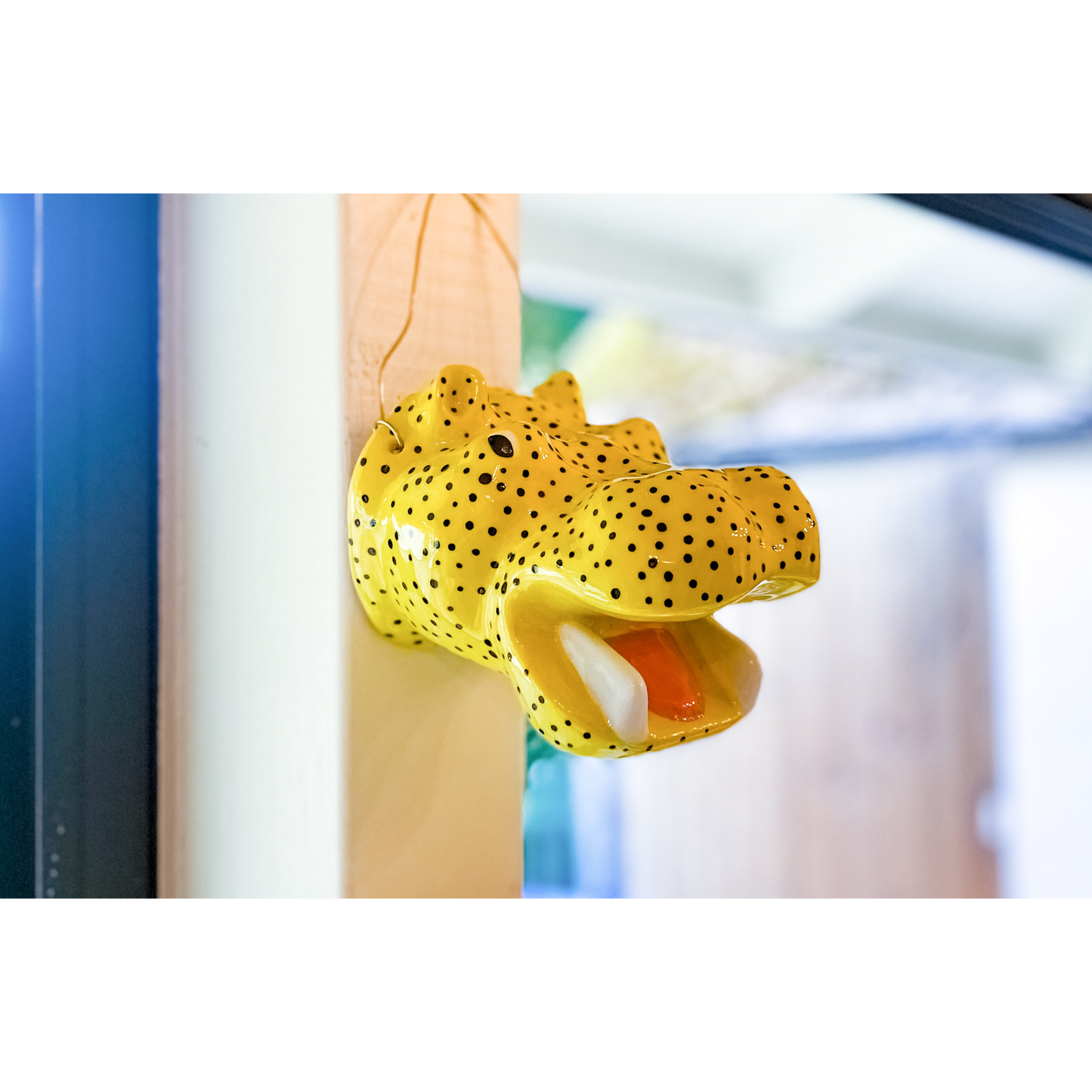The gorgeous wall hippo