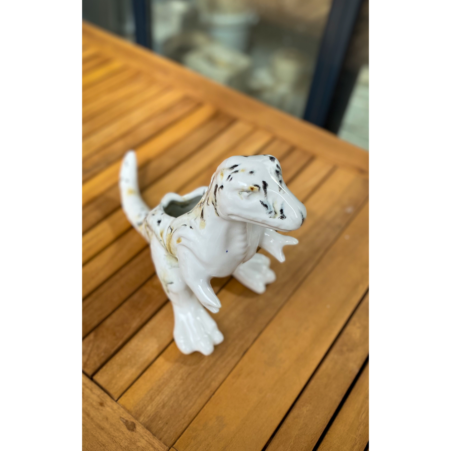 Dinosaur Pot T-Rex - Spotted black & brown