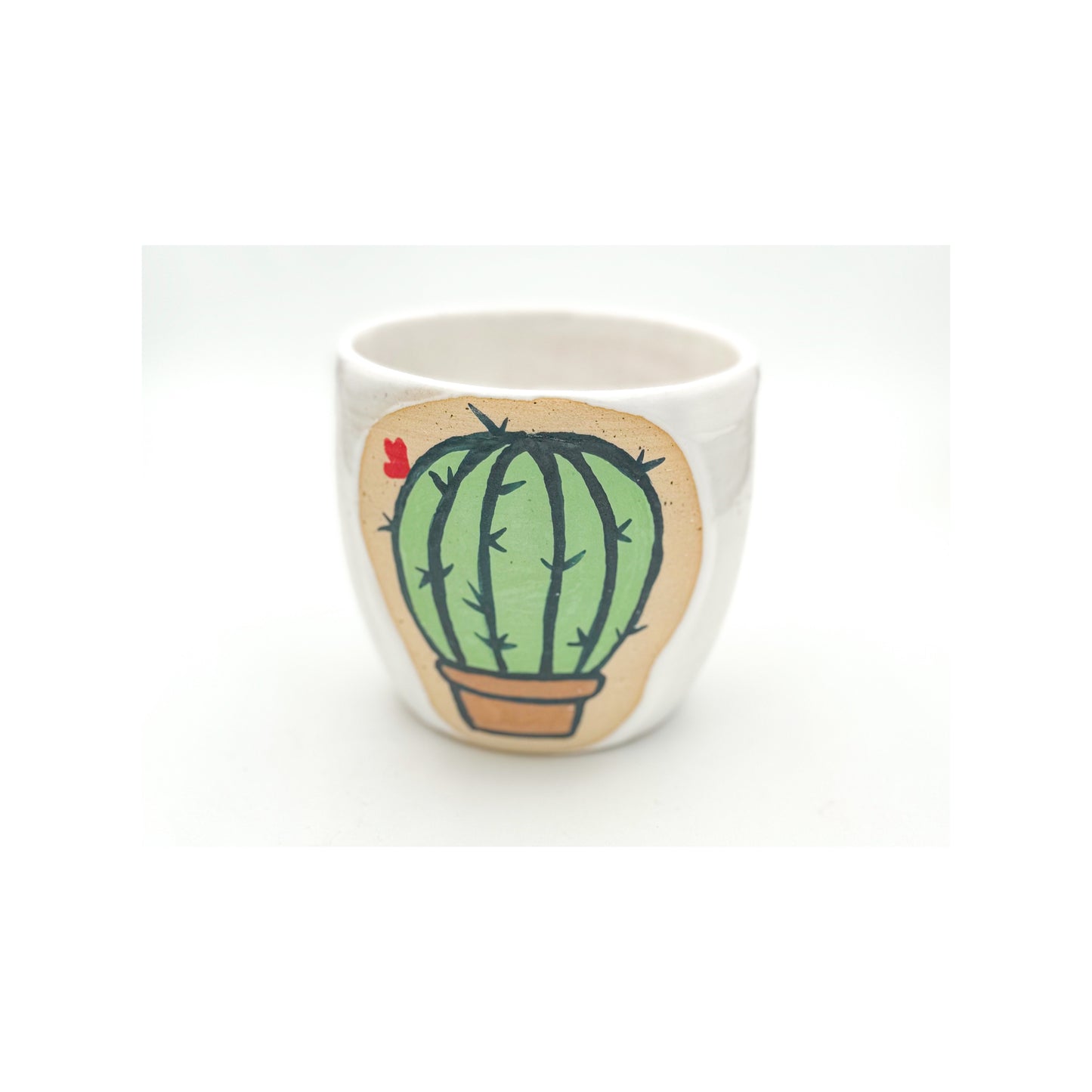 Cactus - Small Pot