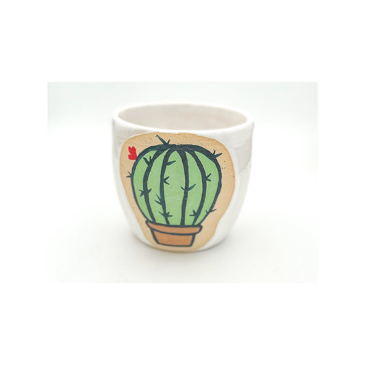 Cactus - Small Pot